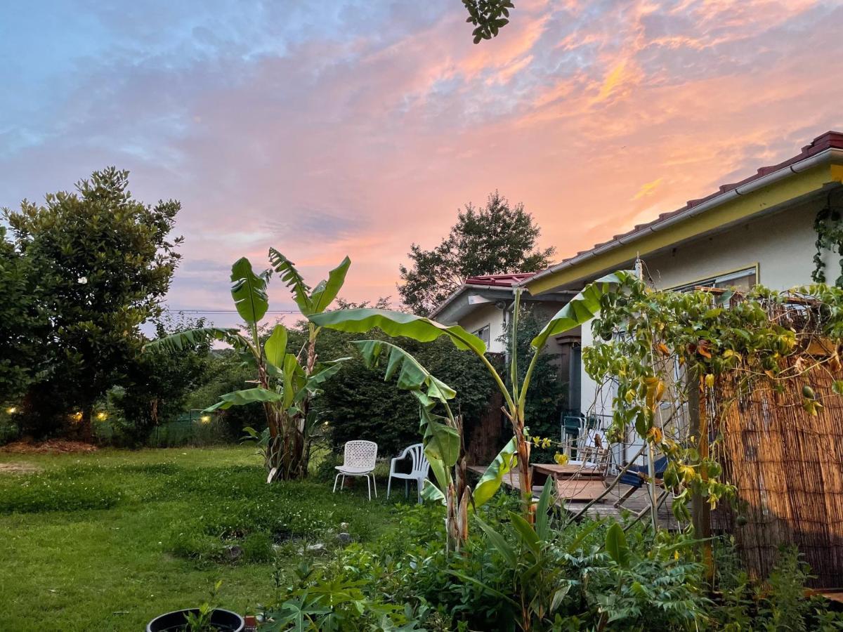 Guesthouse Papaya Simoda Kültér fotó