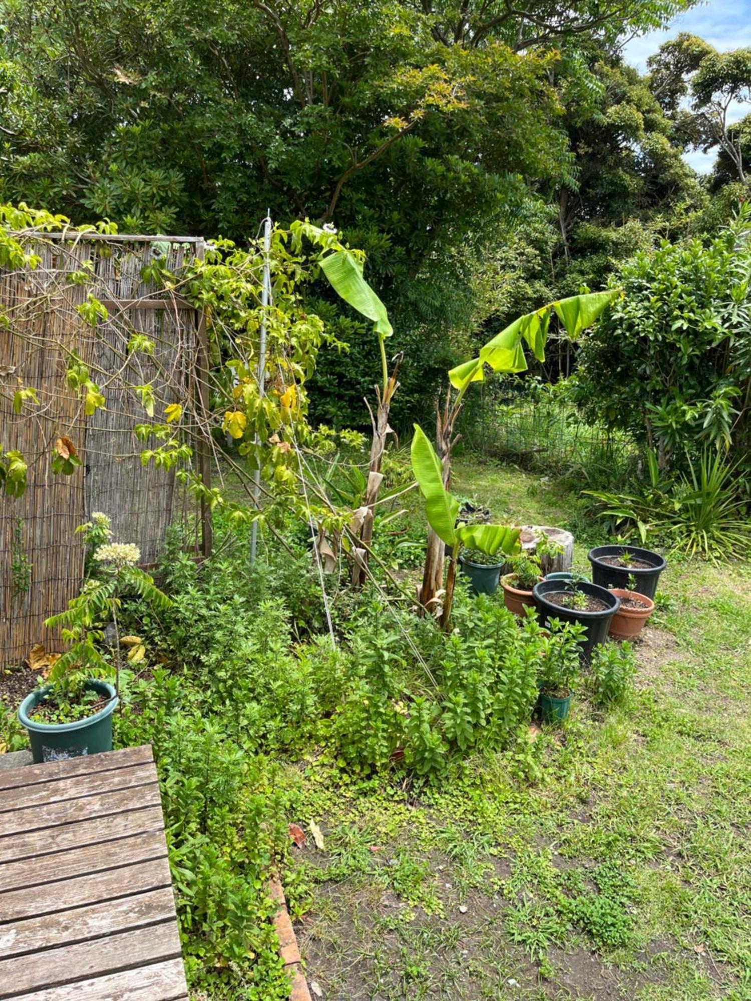 Guesthouse Papaya Simoda Kültér fotó