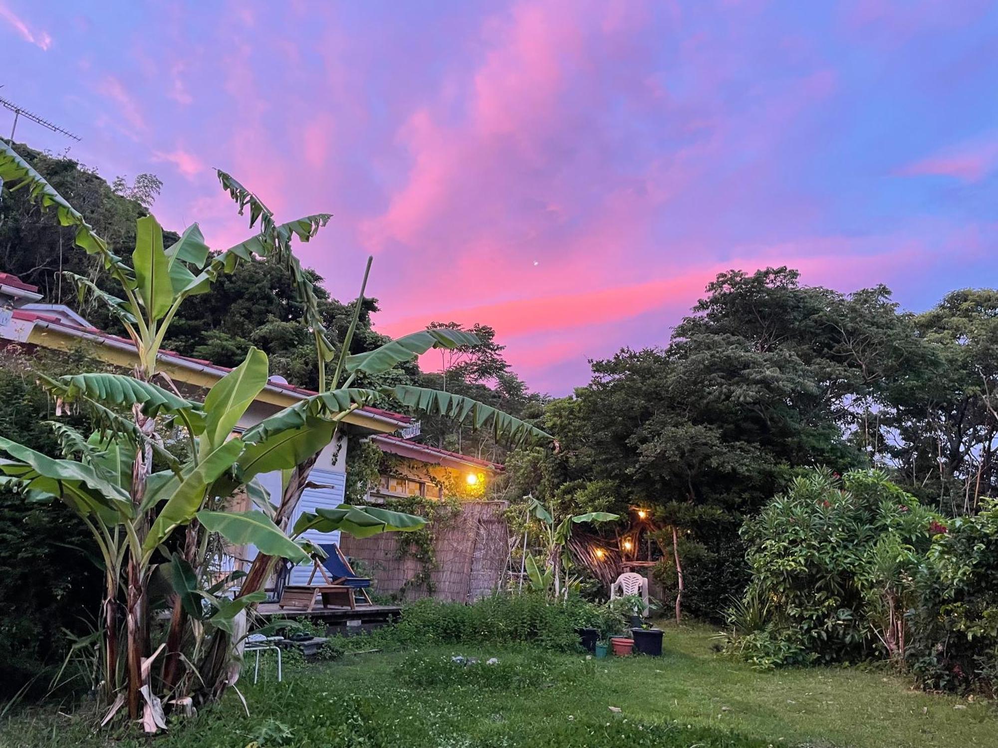 Guesthouse Papaya Simoda Kültér fotó